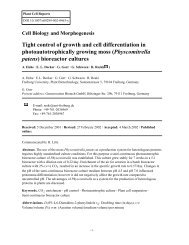 (Physcomitrella patens) bioreactor culture - Plant Biotechnology