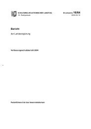 Bericht - Landtag