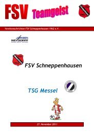 TSV Eschollbrücken II - FSV Schneppenhausen