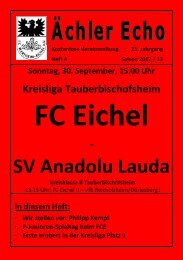 SV Anadolu Lauda - FC Eichel