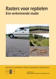 Rasters voor reptielen: een verkennende studie - Ravon