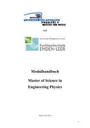 Modulhandbuch Master of Science in Engineering Physics