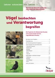 Vögel beobachten und Verantwortung begreifen - Naju