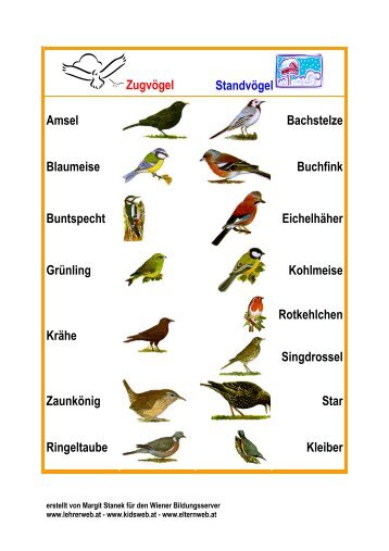 Zugvögel Standvögel Amsel Bachstelze Blaumeise ... - Lehrerweb