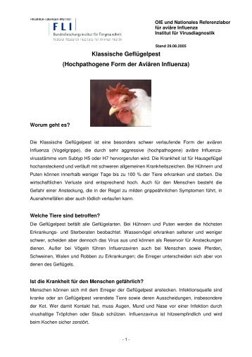 Informationsblatt Gefluegelhalter FLI.pdf - BMELV