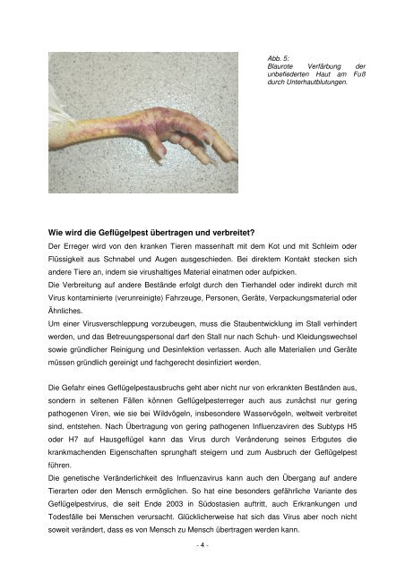 Informationsblatt Gefluegelhalter FLI.pdf - BMELV