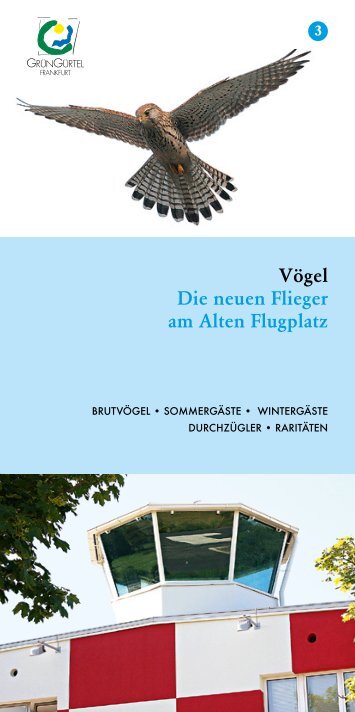 Vögel Die neuen Flieger am Alten Flugplatz - Frankfurt am Main