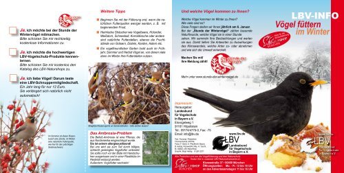 LBV-INFO Vögel füttern im Winter - LBV-München