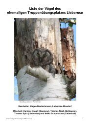 Vögel (Aves; pdf)- Aktualisierte Liste von Mai 2011 - Stiftung ...