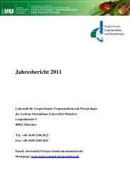 Jahresbericht 2011 - Vergleichende Tropenmedizin und ...