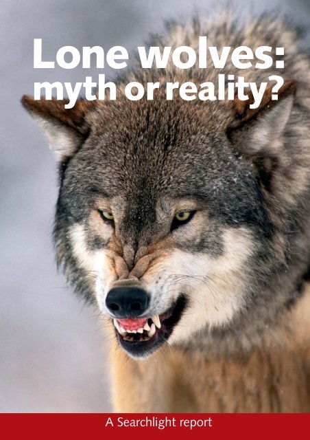 Lone wolves: myth reality?