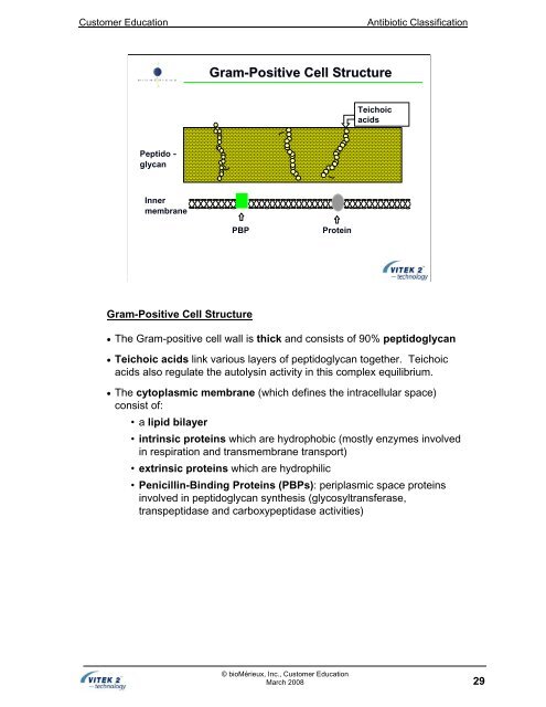 Antibiotic Classification and Modes of Action - bioMerieux