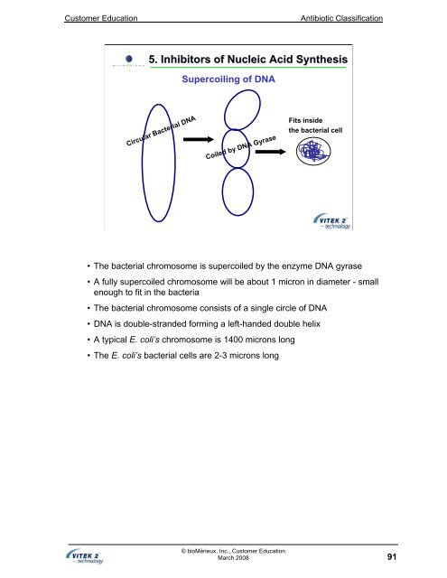 Antibiotic Classification and Modes of Action - bioMerieux