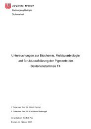 Untersuchungen zur Biochemie, Molekularbiologie - Uft - Universität ...