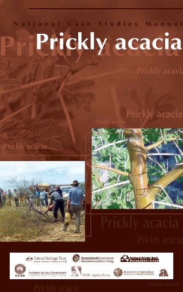 Section 1: Prickly acacia—ecology and threat - Weeds Australia