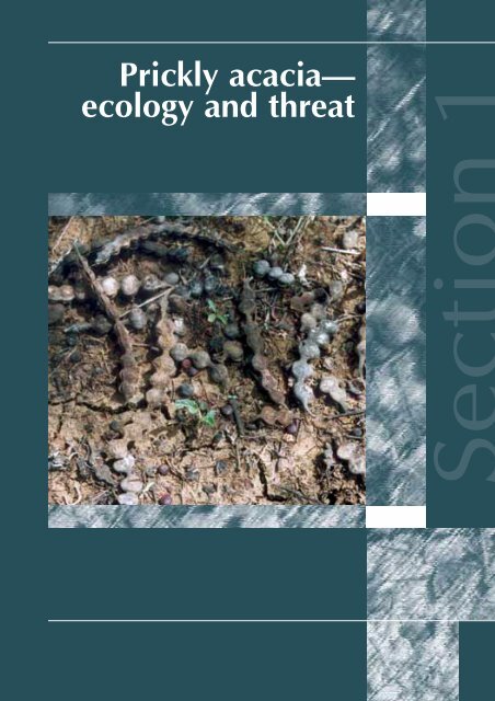 Section 1: Prickly acacia—ecology and threat - Weeds Australia