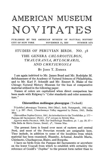 NOVITATES - American Museum of Natural History