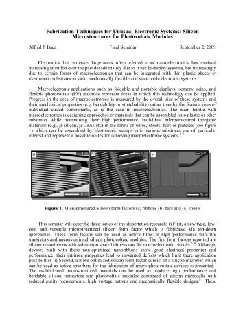 Fabrication Techniques for Unusual Electronic Systems: Silicon ...