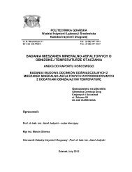 Aneks do raportu końcowego - Generalna Dyrekcja Dróg Krajowych ...