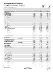 Beispielausdruck - Land-Data Eurosoft