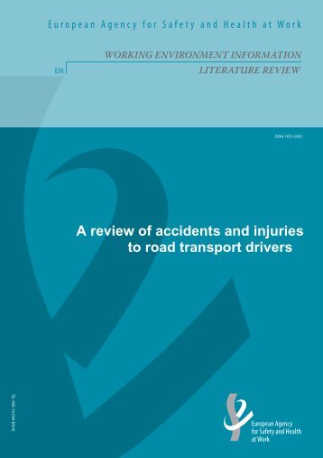 A review of accidents and injuries to road - European Agency for ...