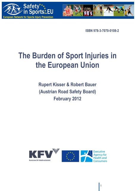 Burden of Sport Injuries in the European Union - Safety in Sports