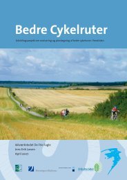 Projekt Bedre Cykelruter - Idéværkstedet De Frie Fugle