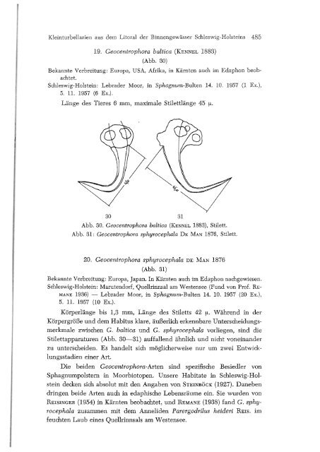 Kleinturbellarien aus dem Litoral der Binnengewässer Schleswig ...