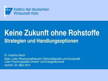 Keine Zukunft ohne Rohstoffe. Strategien und Handlungsoptionen.