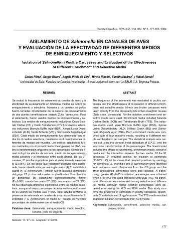 AISLAMIENTO DE Salmonella EN CANALES DE AVES Y ...