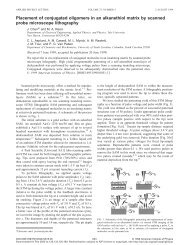 Using APL format - Yale School of Engineering & Applied Science ...