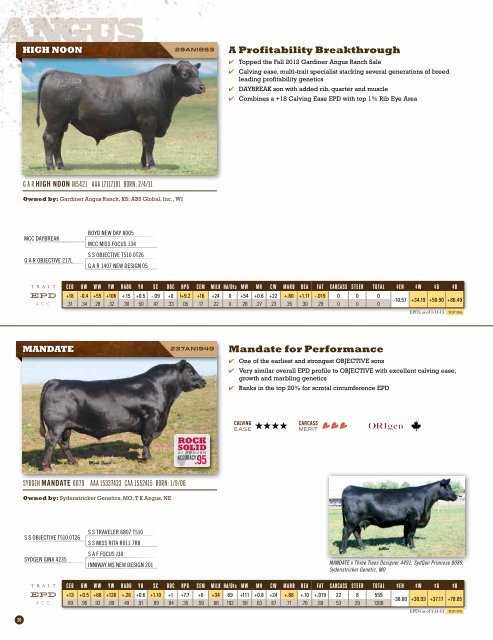 Spring 2013 Beef Sire Directory