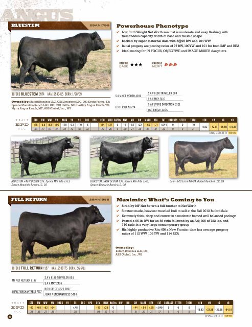 Spring 2013 Beef Sire Directory