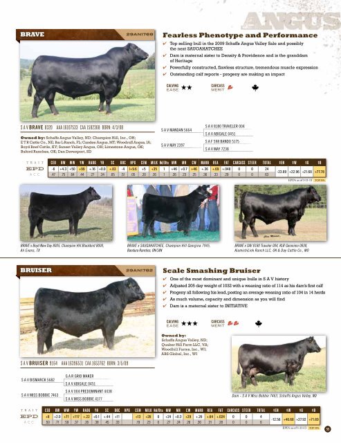 Spring 2013 Beef Sire Directory