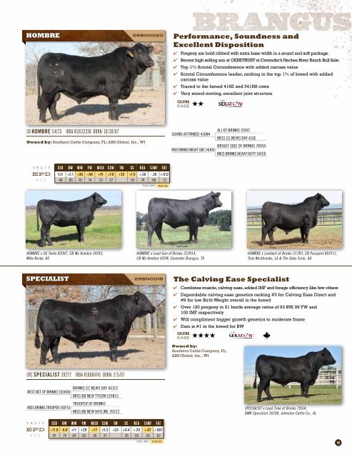 Spring 2013 Beef Sire Directory