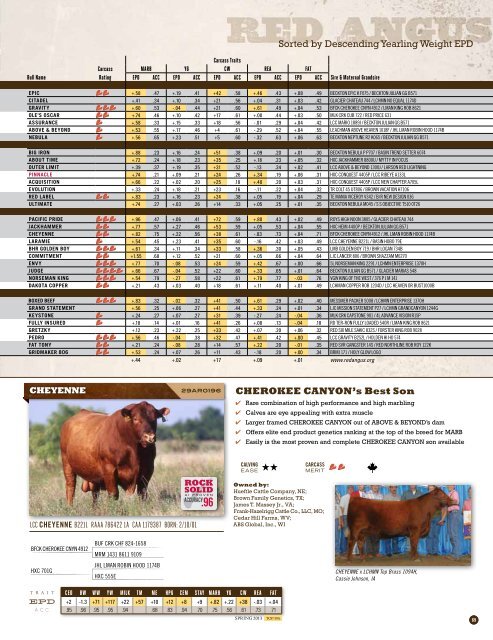 Spring 2013 Beef Sire Directory