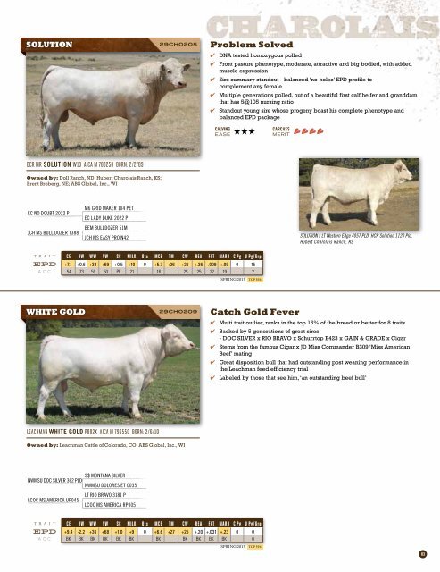 Spring 2013 Beef Sire Directory