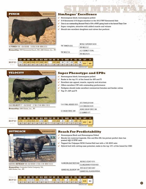 Spring 2013 Beef Sire Directory