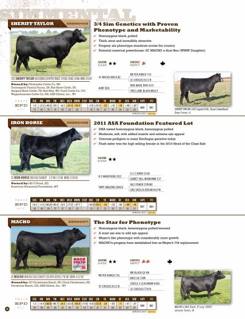 Spring 2013 Beef Sire Directory