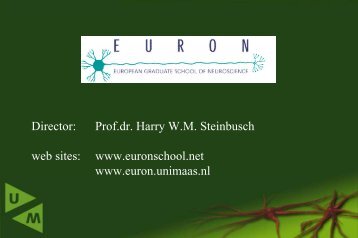 Harry W.M. Steinbusch - European University Association