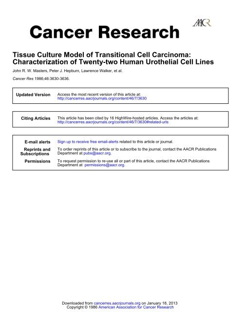 Tissue Culture Model of Transitional Cell ... - Cancer Research