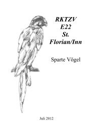 RKTZV E22 St. Florian/Inn