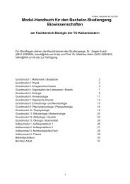 Modulhandbuch (bisheriger Studiengang) - Biologie in Kaiserslautern