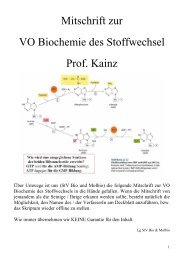 Mitschrift zur VO Biochemie des Stoffwechsel Prof. Kainz