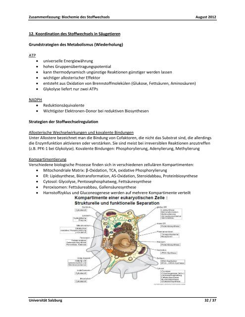 Biochemie des Stoffwechsels - StV Biologie Salzburg