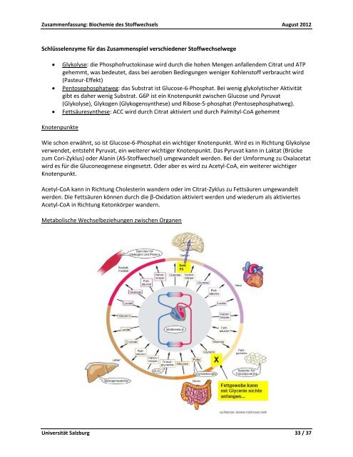 Biochemie des Stoffwechsels - StV Biologie Salzburg