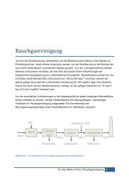 Rauchgasreinigung - Axpo-Holz