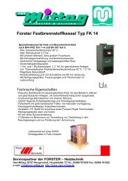 Forster Festbrennstoffkessel Typ FK 14