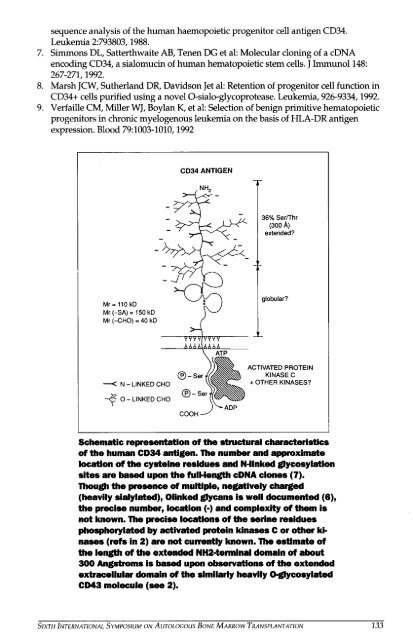 VI Autologous Bone Marrow Transplantation.pdf - Blog Science ...