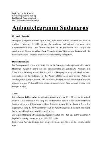 Anbautelegramm Sudangras - Hochschule Neubrandenburg